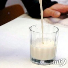 Felfüggesztették a tejstopot az uniós gazdák