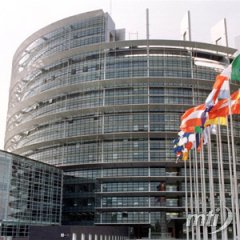 Hamisítás és csalás elleni küzdelem fóruma alakult az Európai Parlamentben