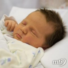 Kevesebb gyermek született és csökkent a halálozások száma is