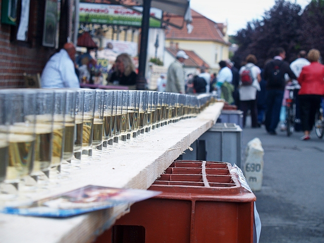 Új rekord Tokajban – Több mint egy kilométer bor