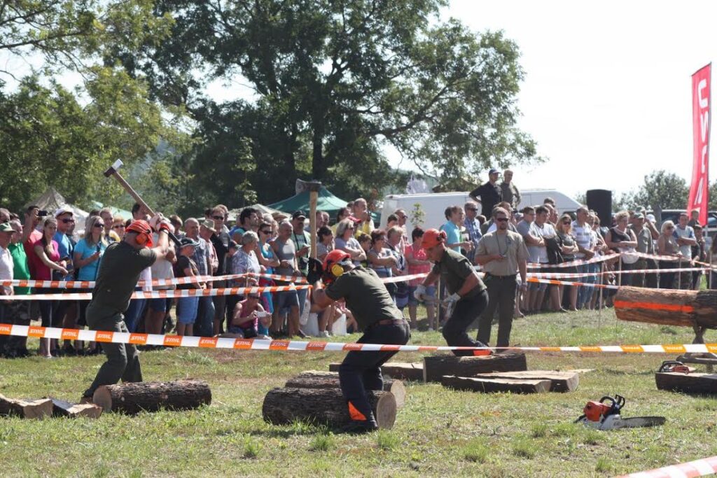 ÉSZAKERDŐ-győzelem a regionális versenyen