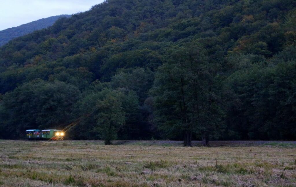 Sokan hallgatták a szarvasbőgést a Pálházi kisvasúton