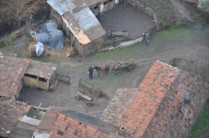 Légből (le) kapott fatolvaj