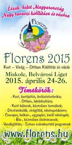 Florens 2015 Miskolcon