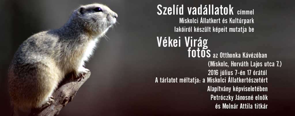 Szelíd vadállatok fotókiállítás