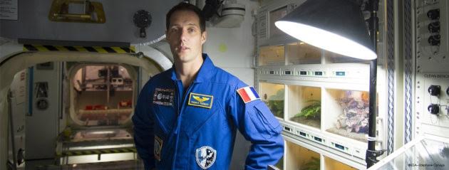 Air France pilótából űrhajós