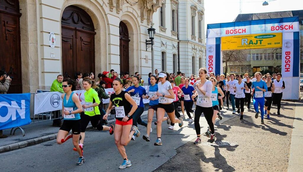 Szombaton ismét megkergetik „Bonifácot”