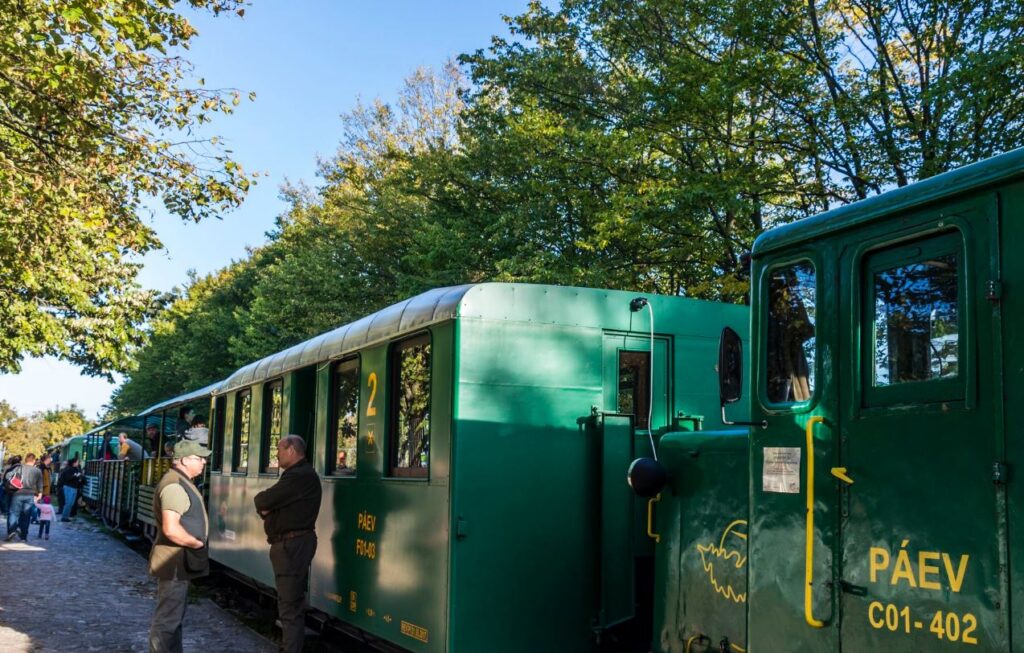 Megteltek a szerelvények a szarvasbőgés-hallgató vonatozásokra