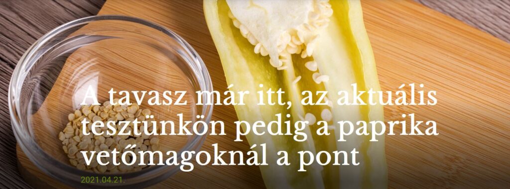 Paprika vetőmagok a Szupermenta „kiskertjében”