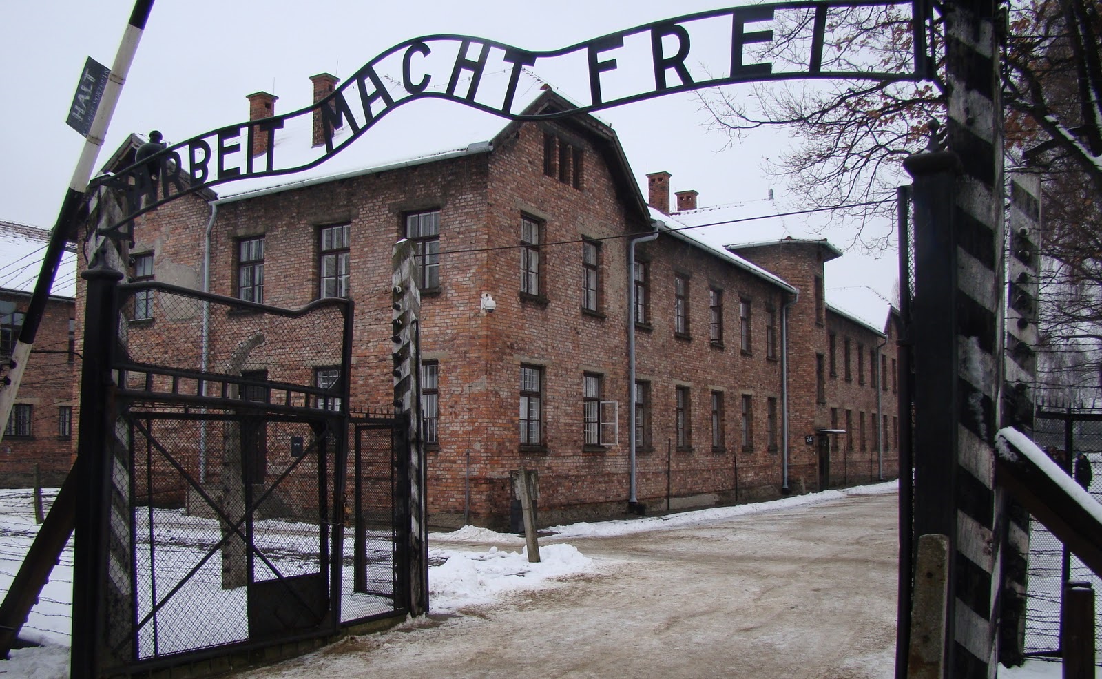 Január 27-e a holokauszt nemzetközi emléknapja, az a nap, amikor a világ szembesült a náci népirtás gyalázatával