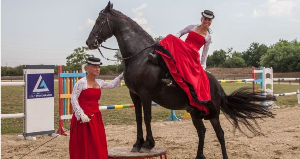 Nőnapi zenés lovas gála Simonpusztán!