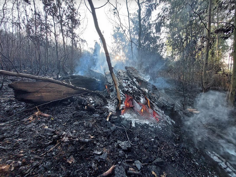 Erdőtűz a Bükkben: tart a kárfelmérés