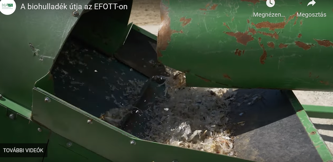 Igazi siker lett a zöld EFOTT – Úszómedencényi hulladék marad körforgásban