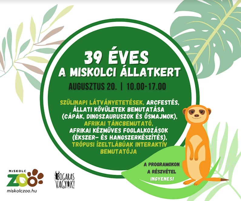 A Miskolci Állatkert augusztus 20-án ünnepli 39. születésnapját.