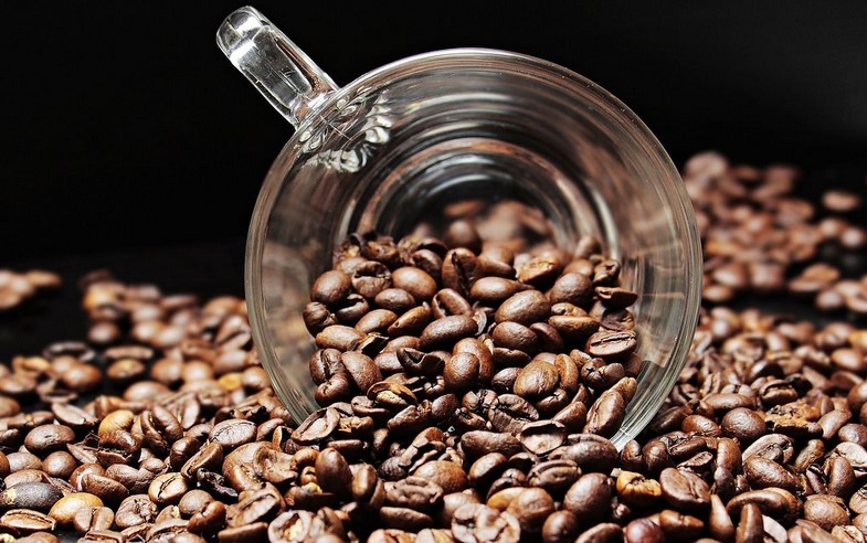 Michelin-csillaggal felérő elismerést kapott a magyar kávépörkölő üzem