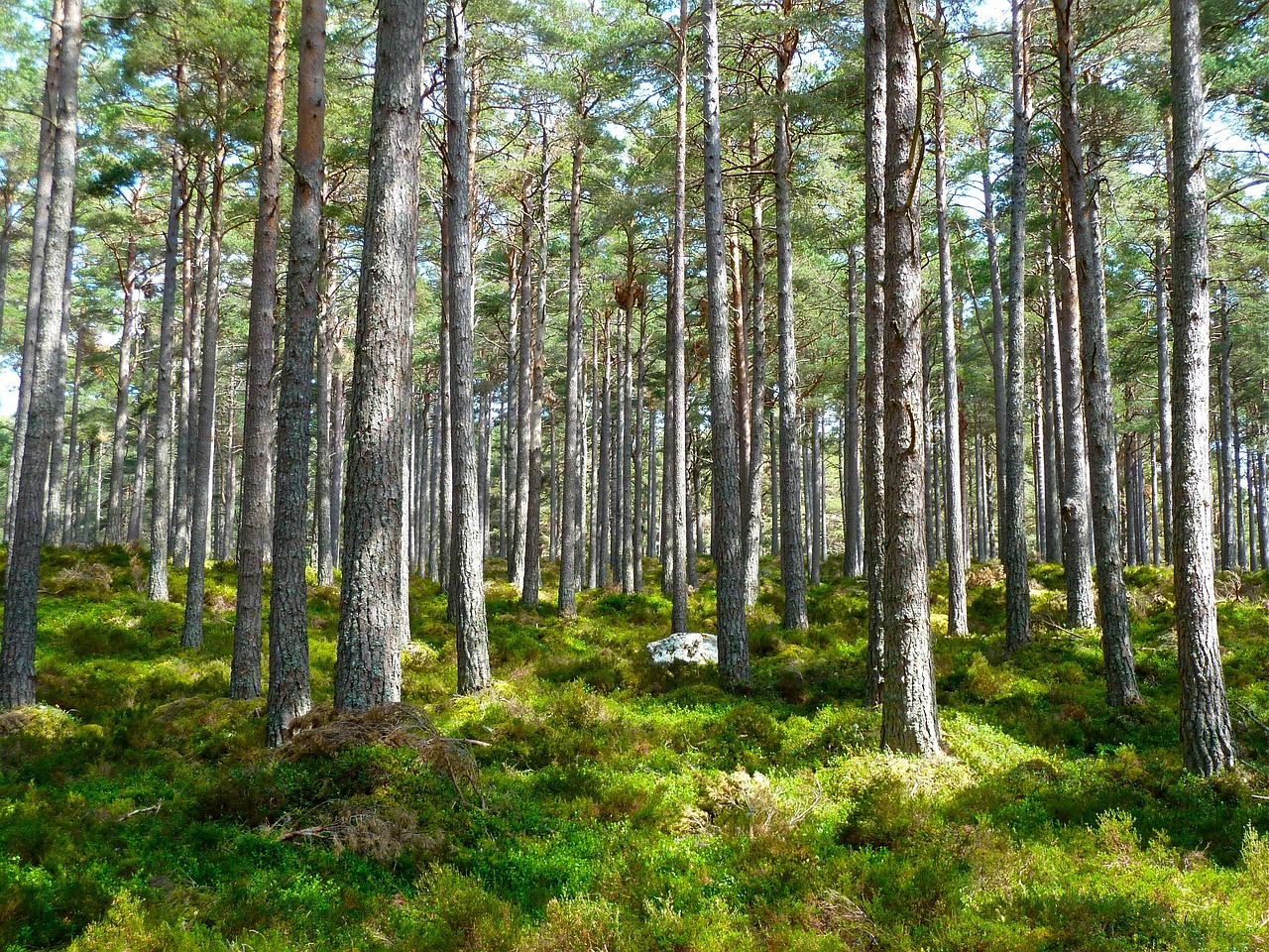 A Szentléleki Turista Park is lehet az év turistaháza