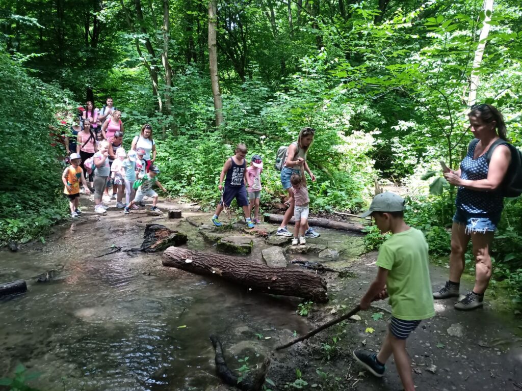 Kiemelkedő eredmény az ÉSZAKERDŐ erdei iskoláiban