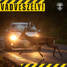 Csúszós utak, vadveszély, rossz látási viszonyok: A Hankook tanácsai a biztonságos őszi vezetéshez