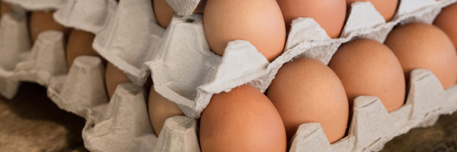 Hogyan tároljuk a tojást? – Hasznos tanácsok a Nébih-től