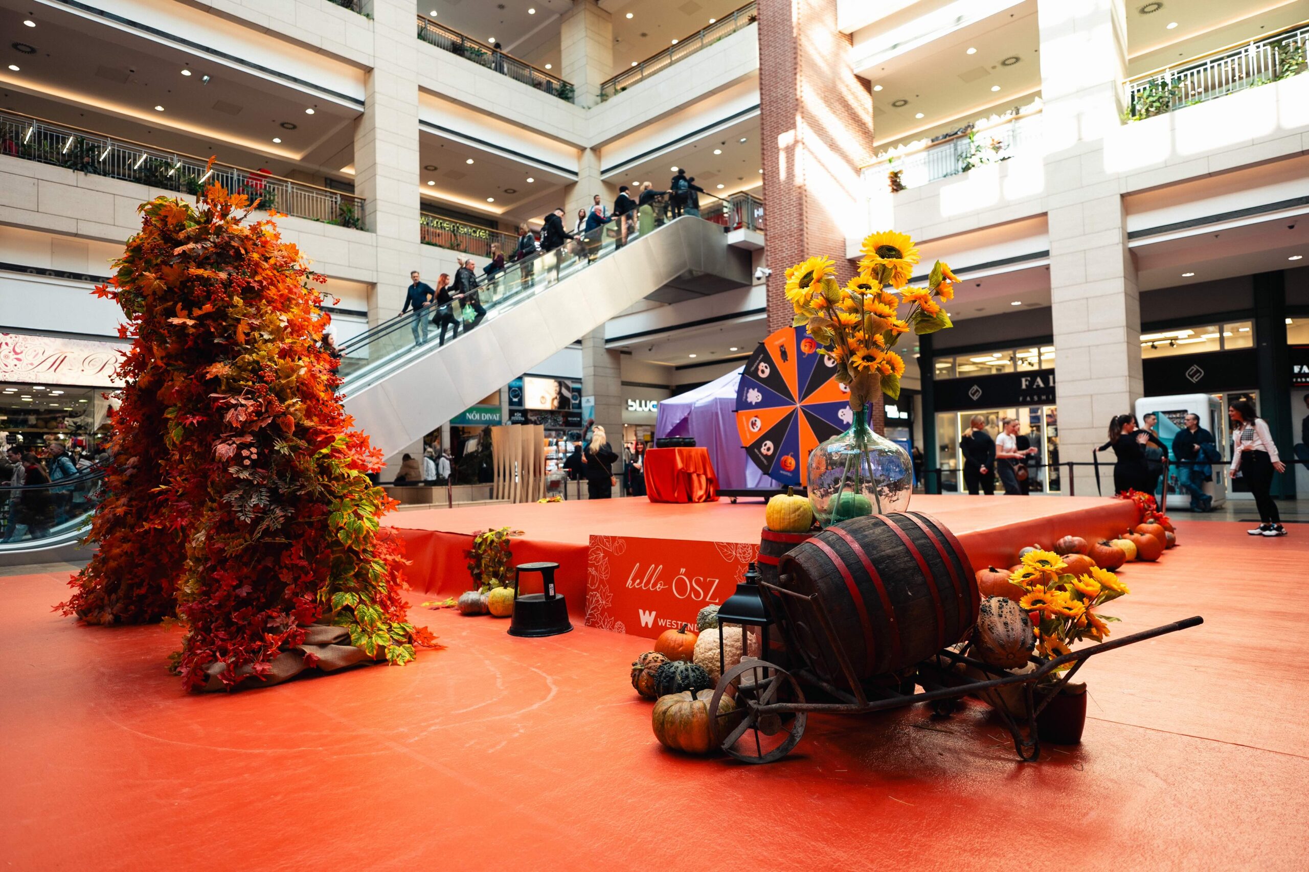 Halloween 2025 – Élmények, amelyek mozgásban tartanak