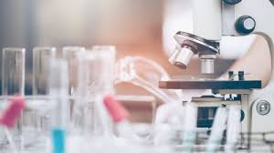 Edzés és diéta előtt: miért a labor az első lépés az életmódváltásban?