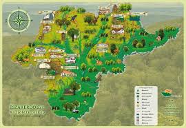 Amikor az erdő élménnyé válik – mozgalmas év a Csanyiki Erdőház Erdészeti Erdei Iskolában