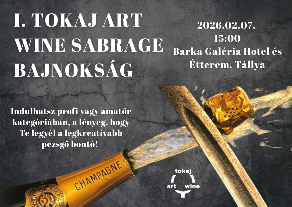 ILYEN MÉG NEM VOLT! Egy Guinness Rekorder is bemutatót tart! 