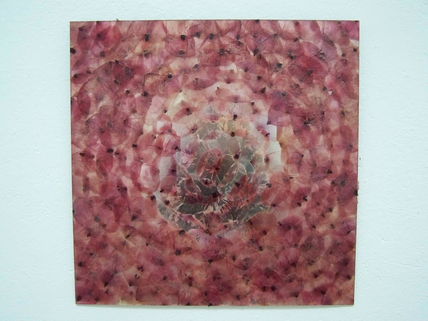 ZSÖK-PROGRAMAJÁNLÓ  2026. március 2–9.