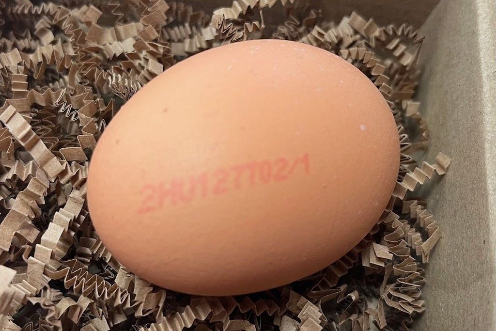 Mit jelentenek a tojásokon látható számok?