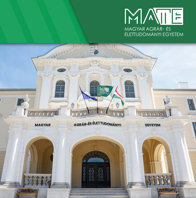 Magas pontszámokkal és erős évfolyammal indítja a tanévet a MATE