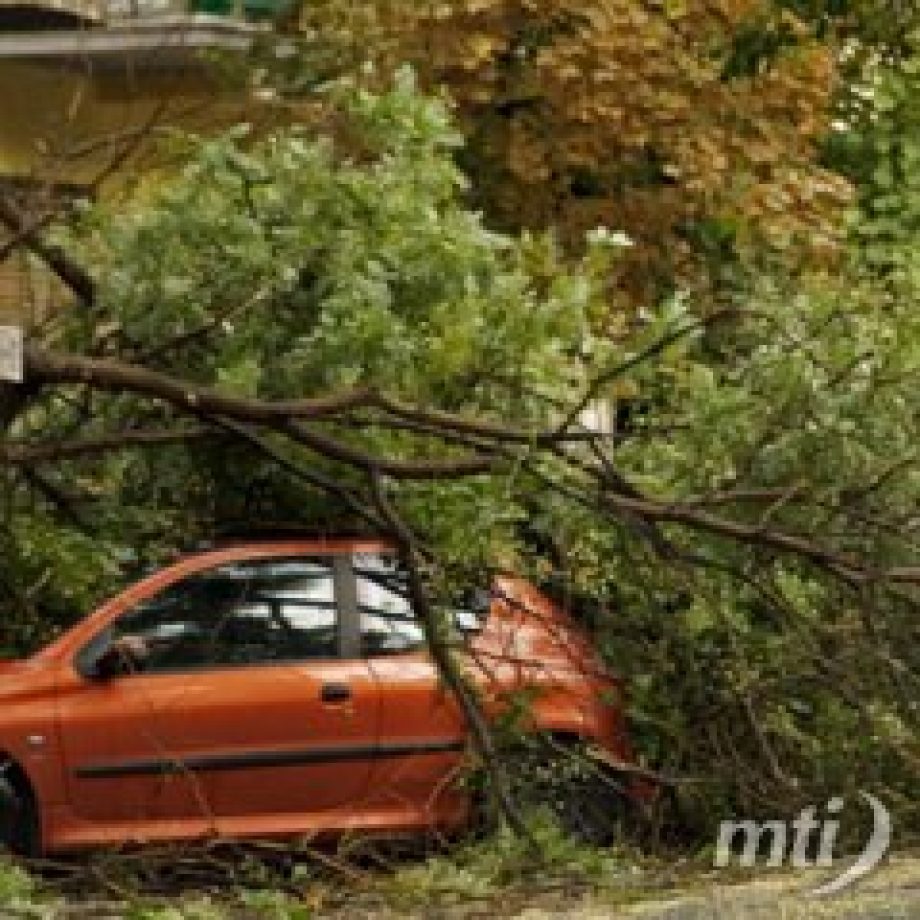 Éjfélig csaknem ezer helyre vonultak ki a tűzoltók a vihar miatt
