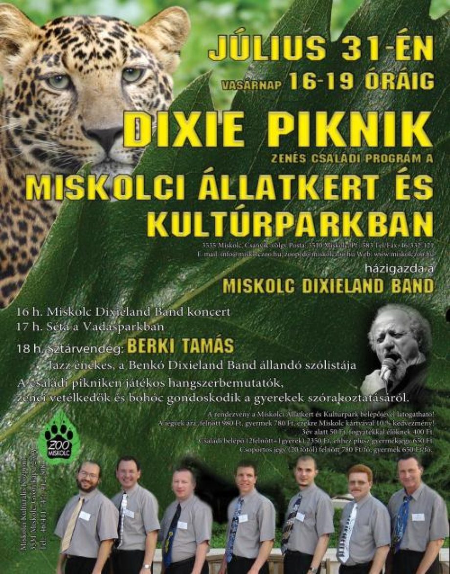 10033-dixie-piknik-a-miskolci-vadasparkban