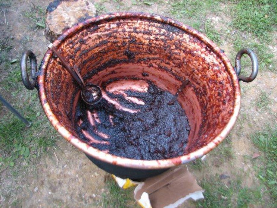 10379-gomori-gyumolcsfesztival