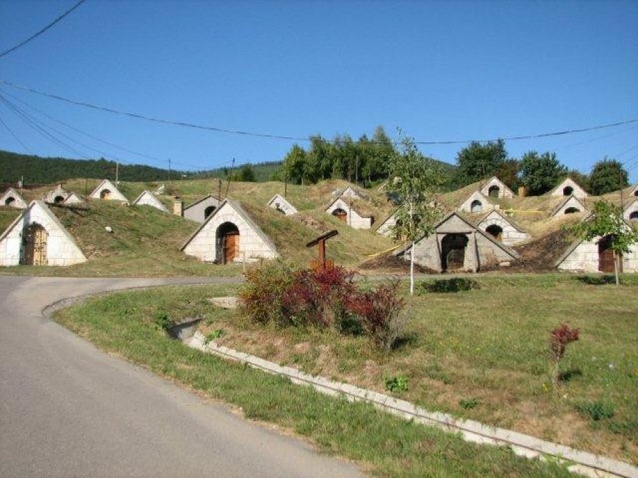 10721-a-hercegkutiak-mindig-osszefognak-01
