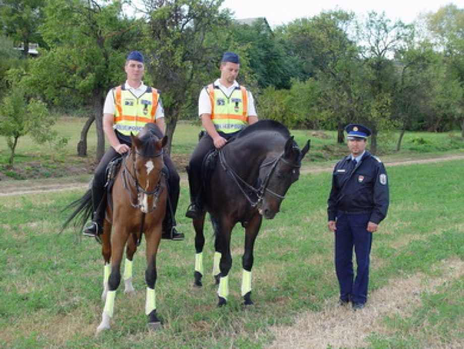 10735-lovasrendorok-putnokon