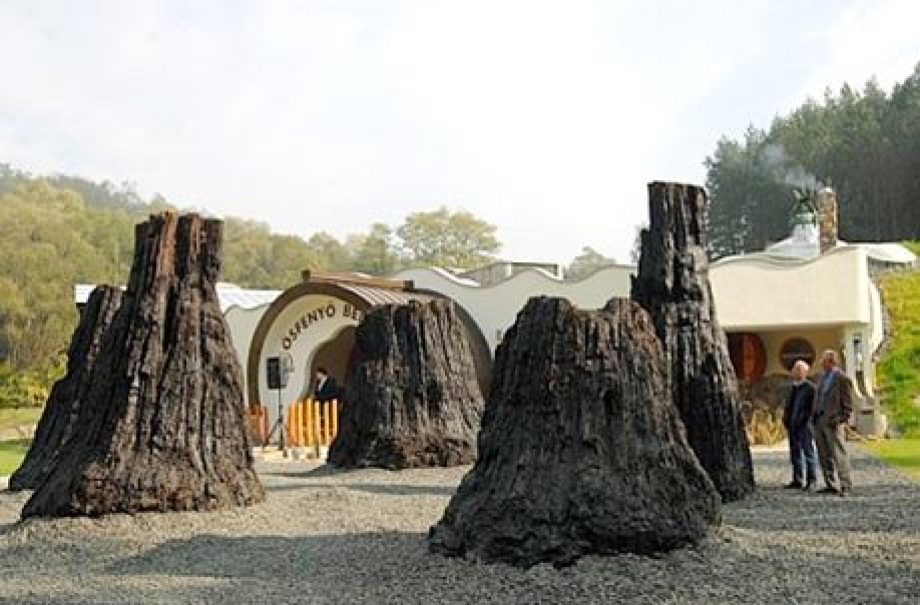 10886-175-eve-a-figyelem-kozpontjaban-a-20-millio-eves-ipolytarnoci-osmaradvanyok-