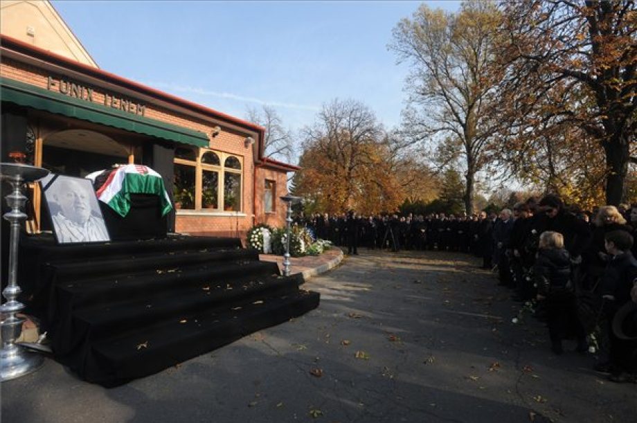 11138-albert-florian-temetese