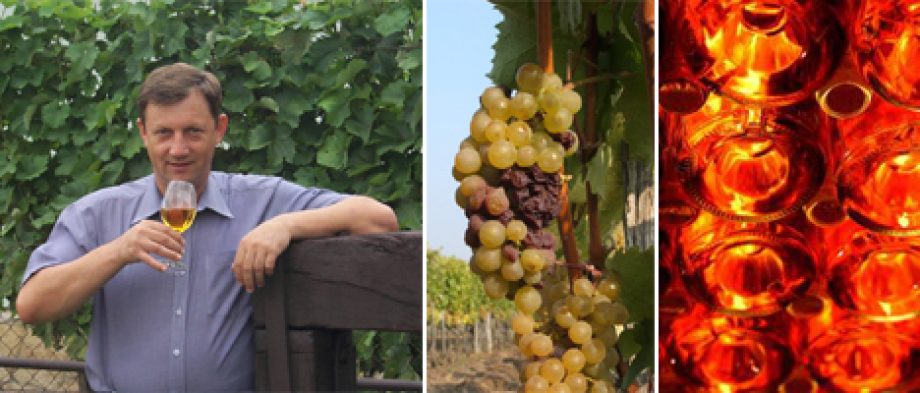 11166-iii-barcikai-bormustra-kozeppontban-a-legkivalobb-magyar-borokkal-01