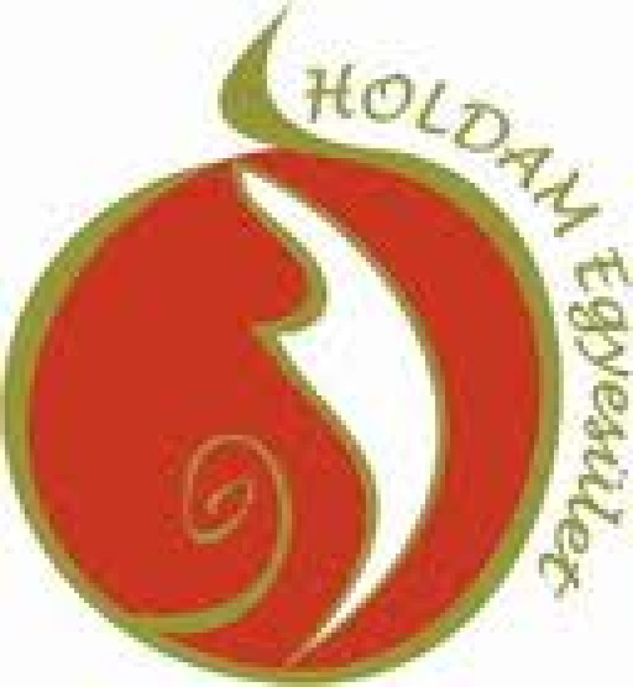 11496-holdam