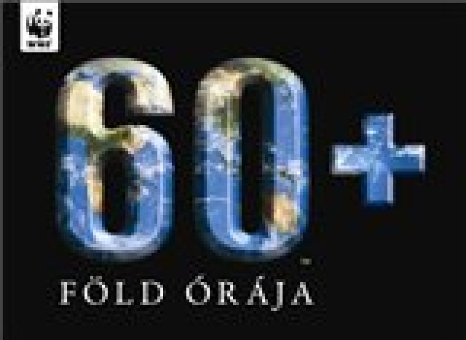 12638-miskolc-is-mepalyazza