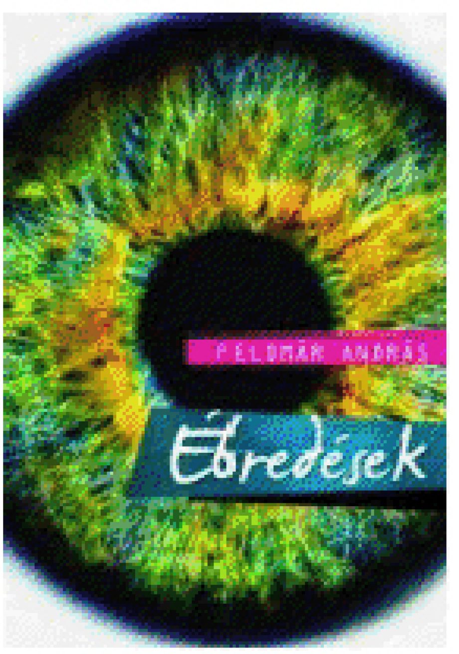 12933-ebredesek