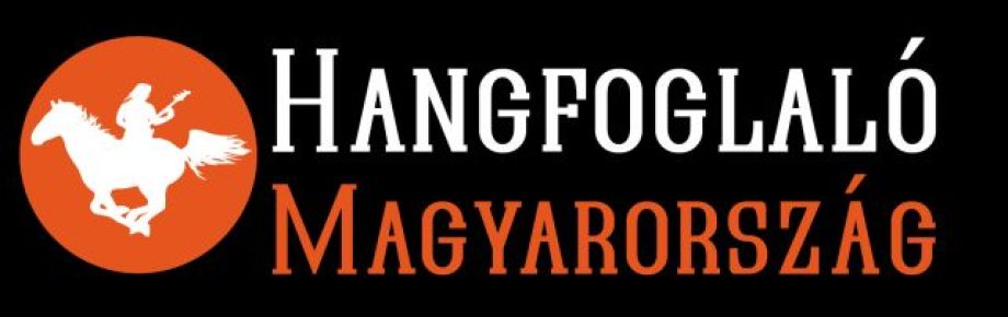 13194-internetes-hangfoglalo