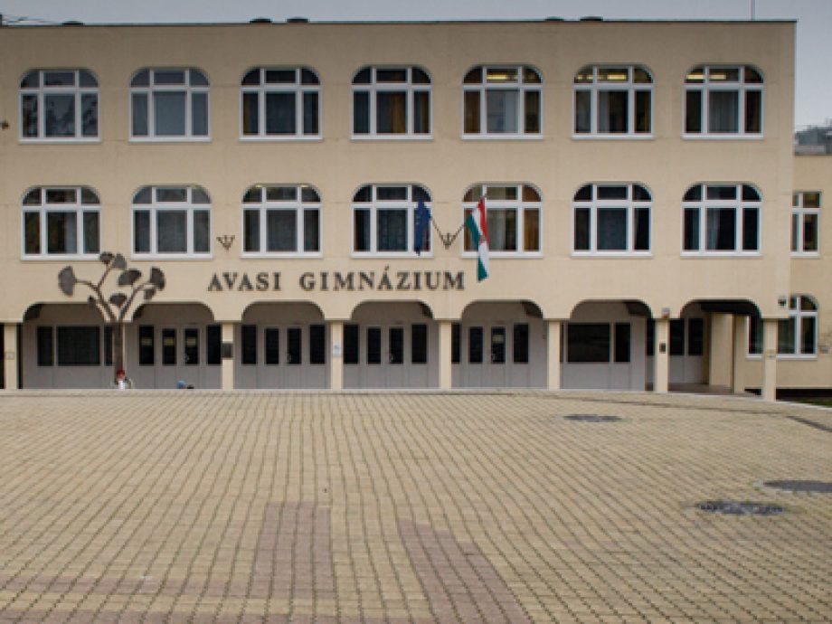 13903-avasi-gimi