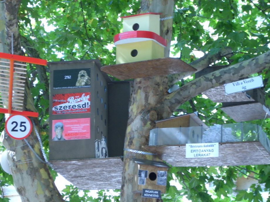 Polgárpukkasztó madárváros