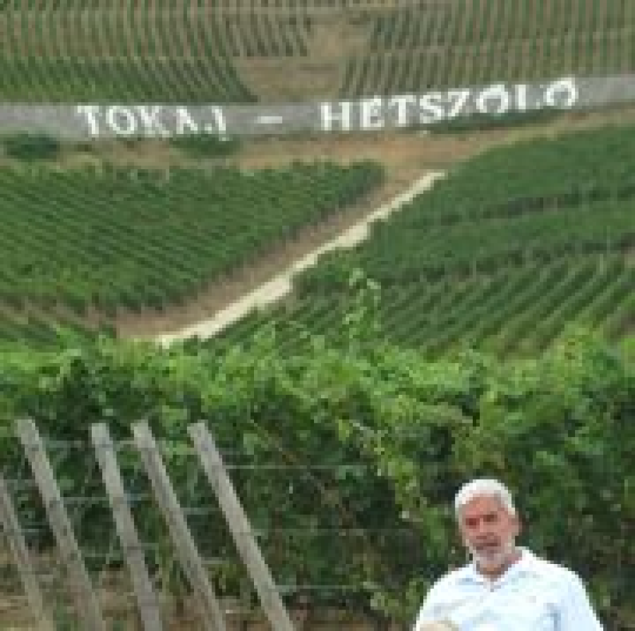 14989-tokaji