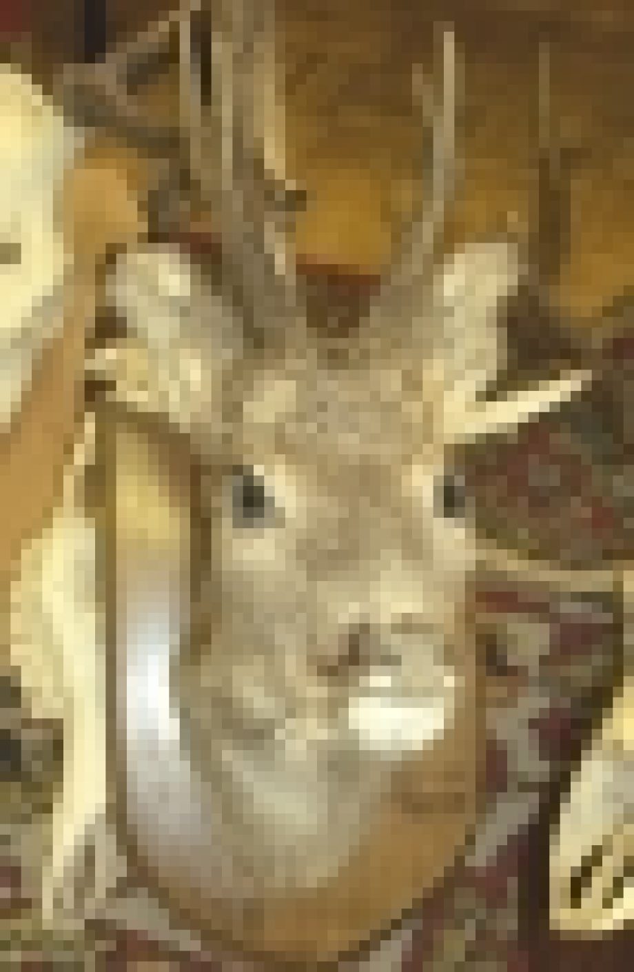 16033-orvadasz-trofeak-001