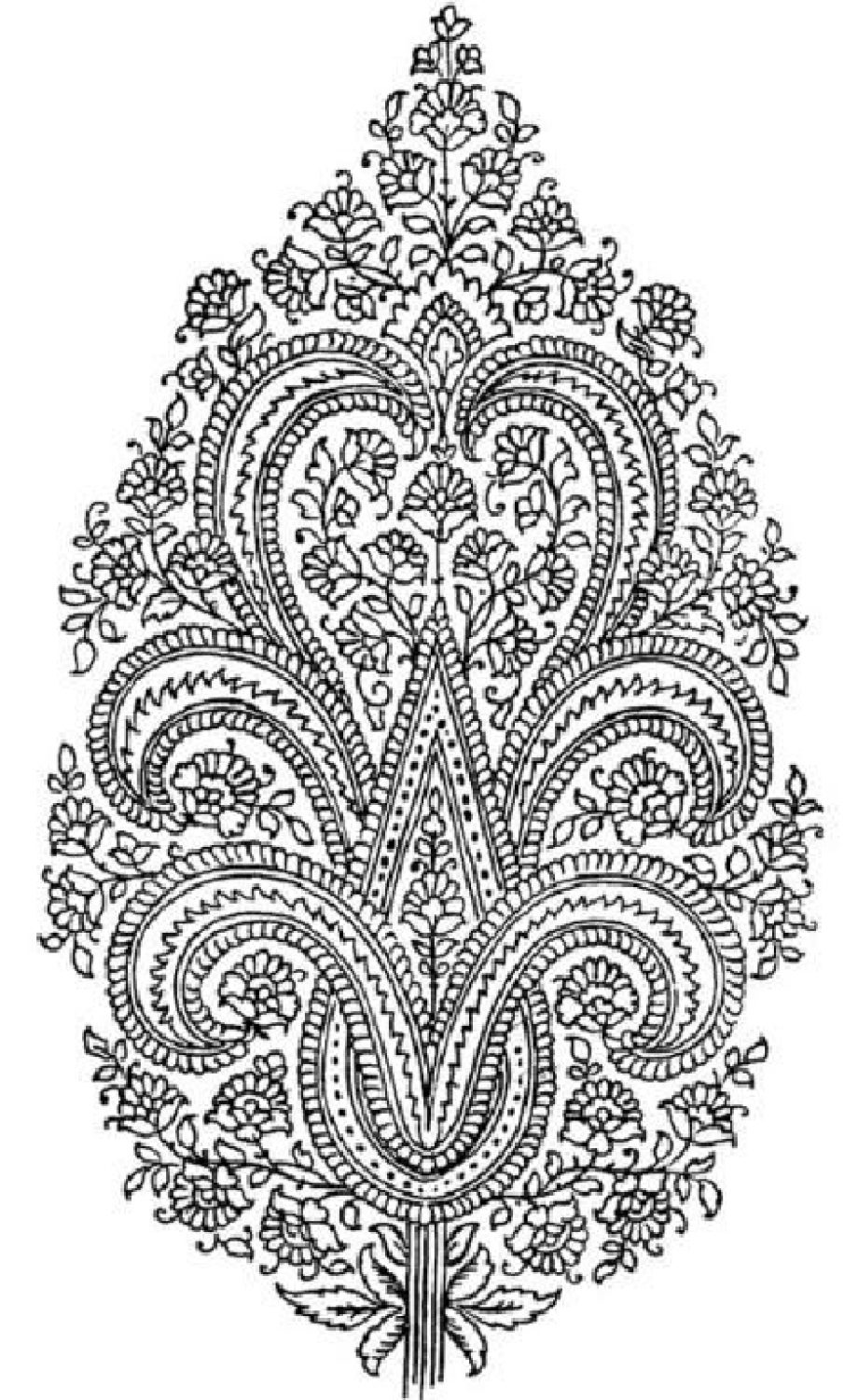 16679_india