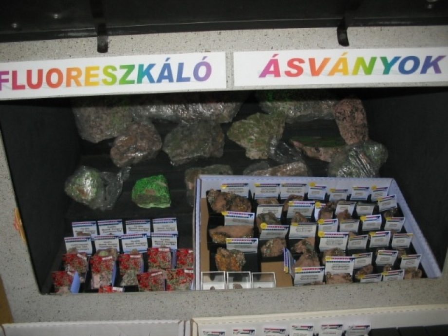 17331-asvany