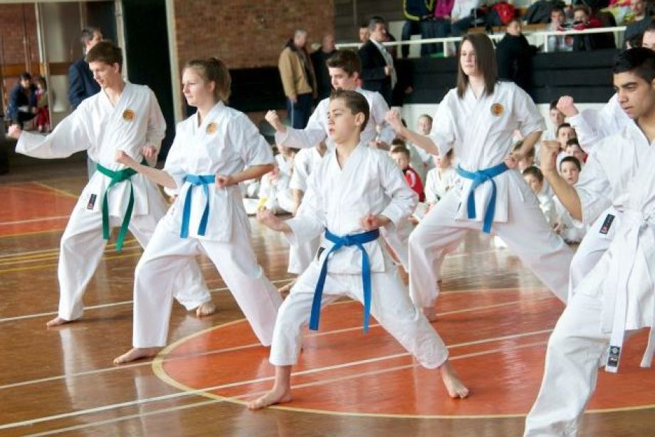 17582-barcika-karate-005