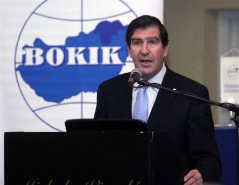 17753-bokik